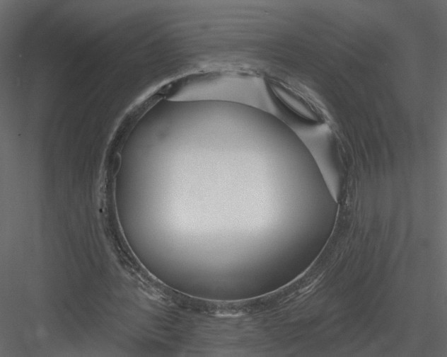 X0000082980388200702230039