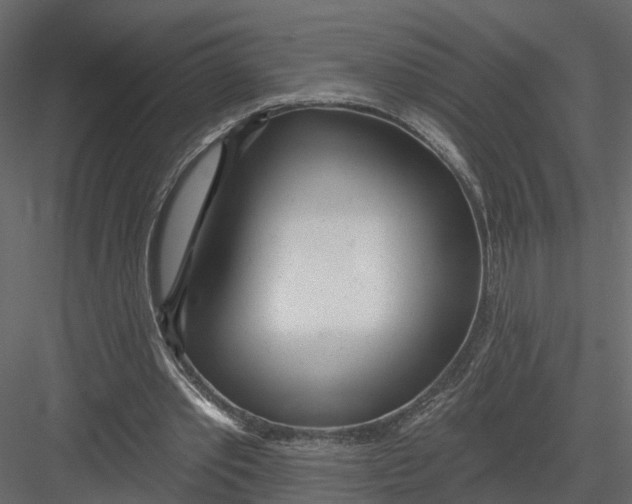 X0000082980389200702230039