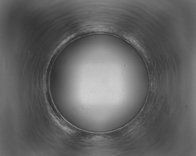 X0000082980390200702230039