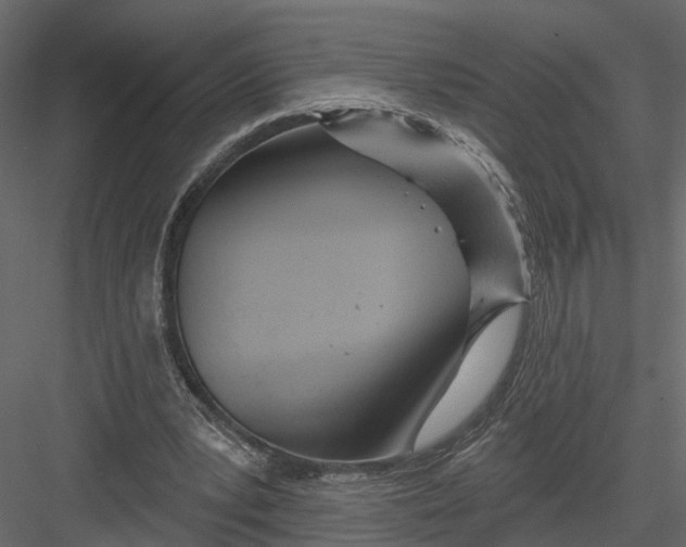 X0000082980391200702230039