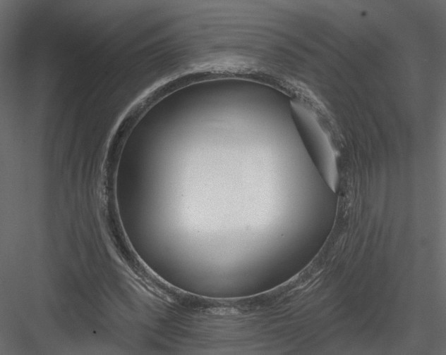 X0000082980392200702230039