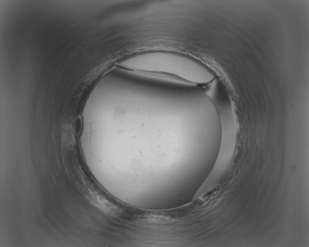 X0000082980393200702230039