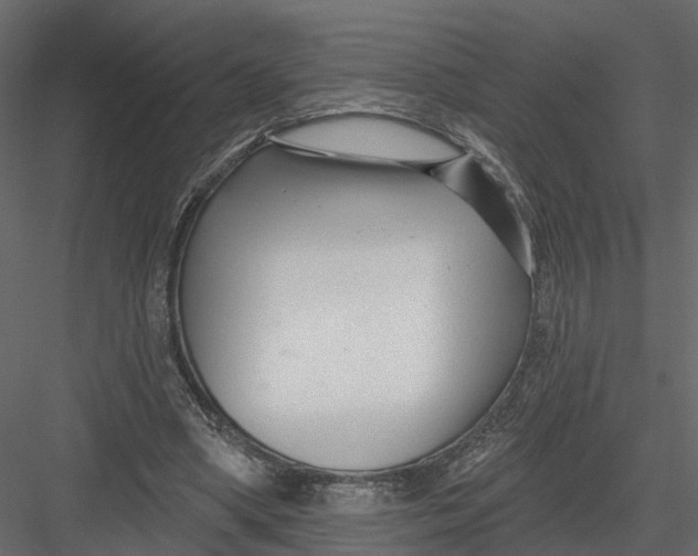 X0000082980394200702230039
