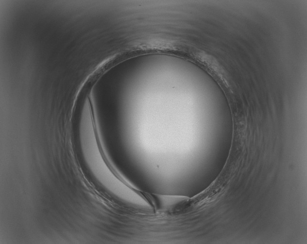 X0000082980395200702230039