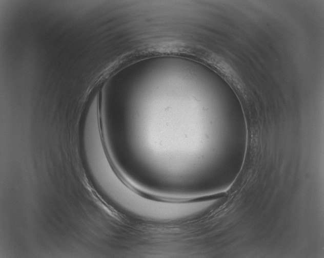 X0000082980397200702230039