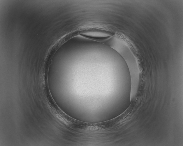 X0000082980399200702230039