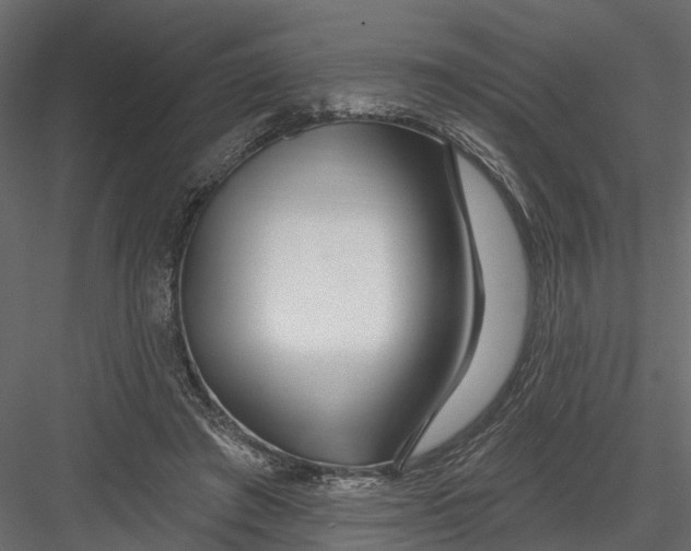 X0000082980401200702230039