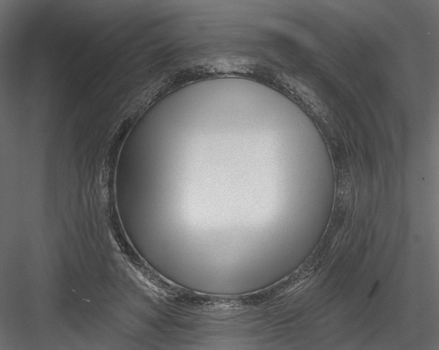 X0000082980402200702230039