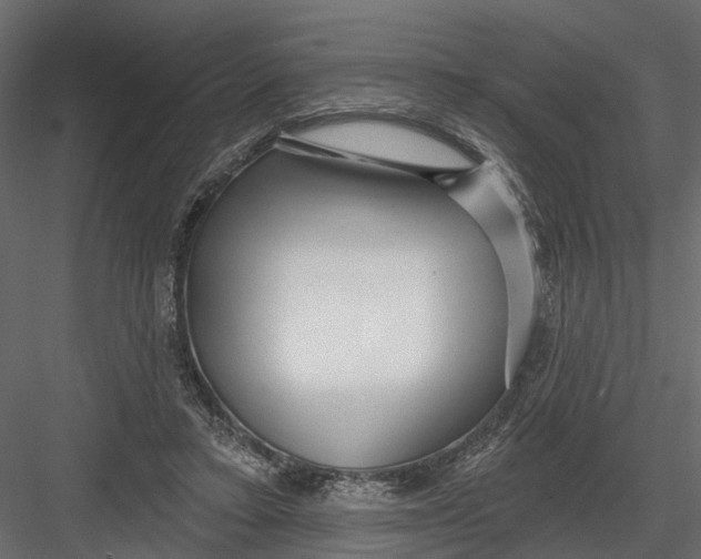 X0000082980403200702230039