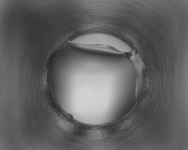 X0000082980404200702230039