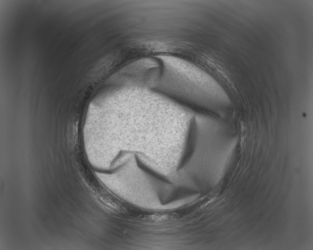 X0000082980406200702230039