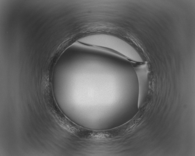 X0000082980407200702230039