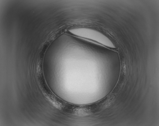 X0000082980408200702230039