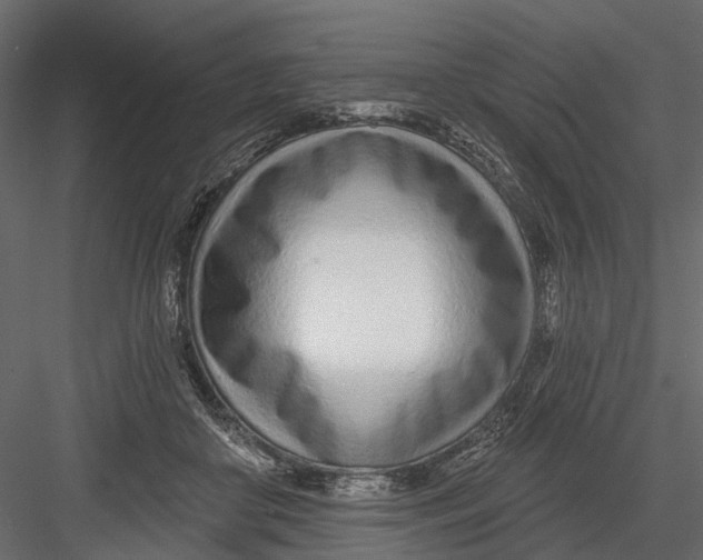 X0000082980410200702230039