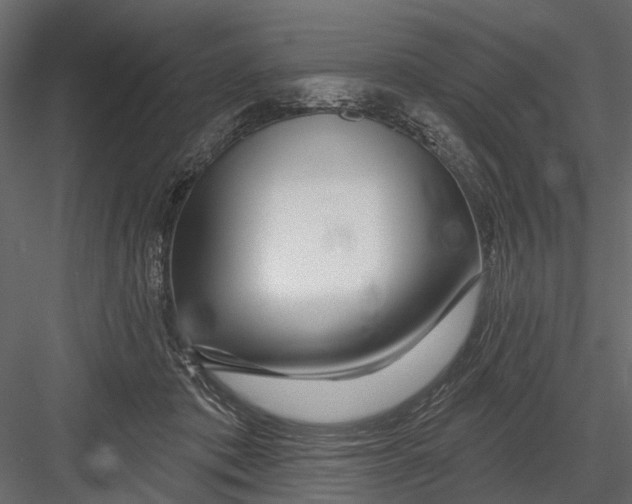 X0000082980413200702230039