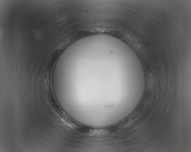 X0000082980414200702230039