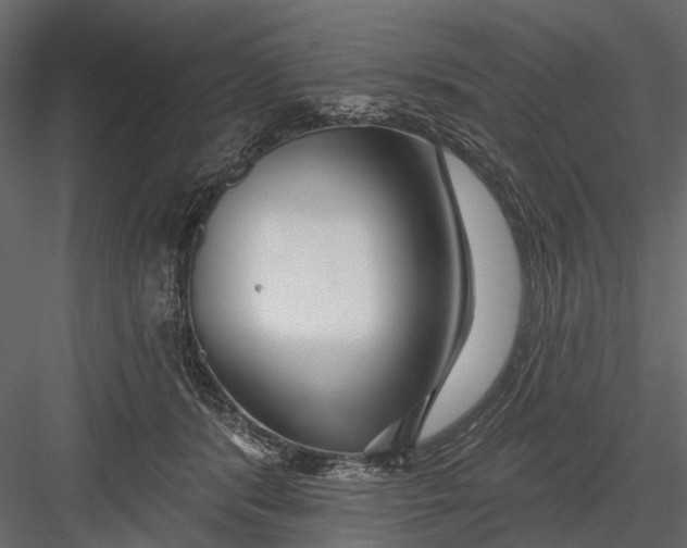 X0000082980416200702230039
