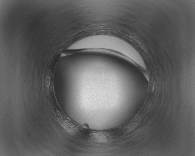 X0000082980417200702230039
