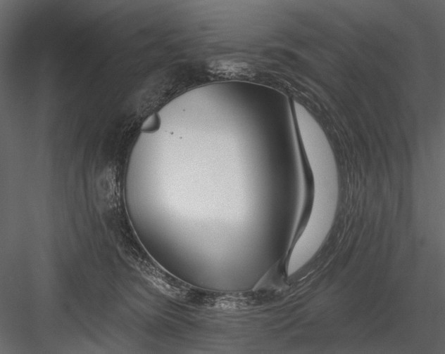 X0000082980420200702230038