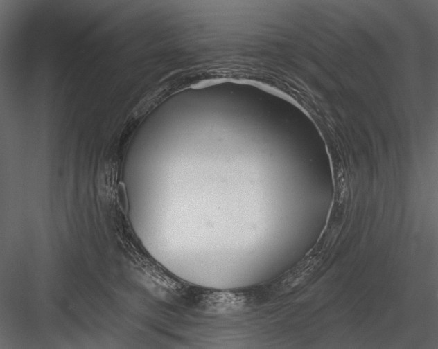X0000082980421200702230038