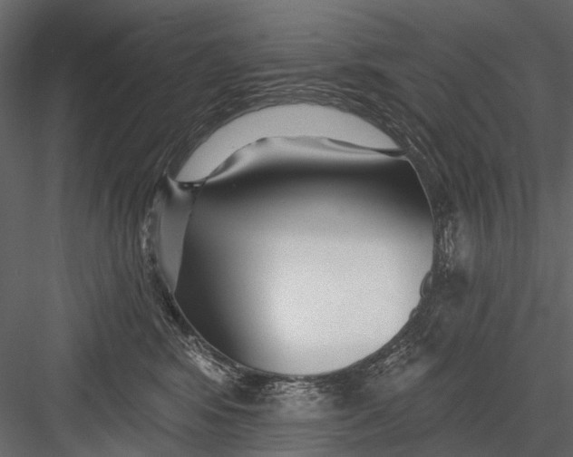 X0000082980424200702230038