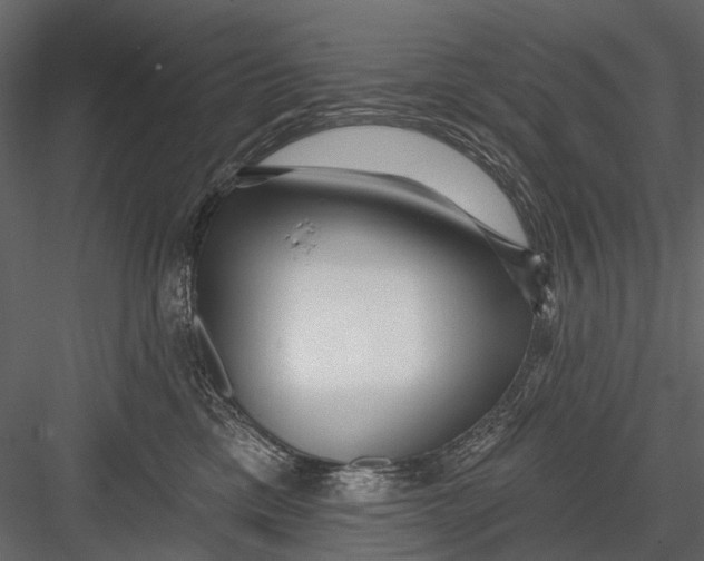 X0000082980425200702230038