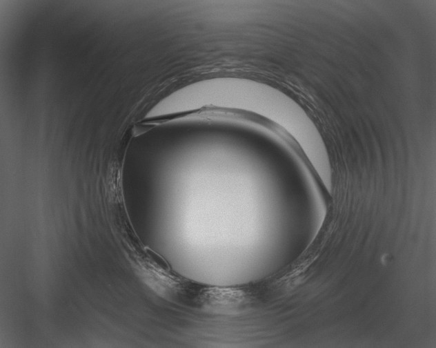 X0000082980429200702230038