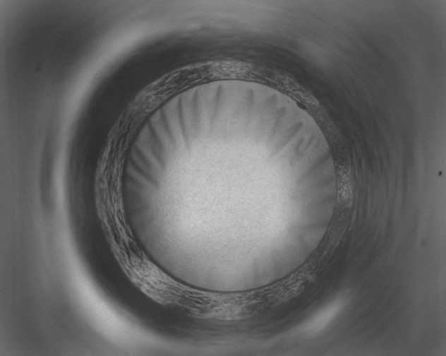 X0000082980431200702230038
