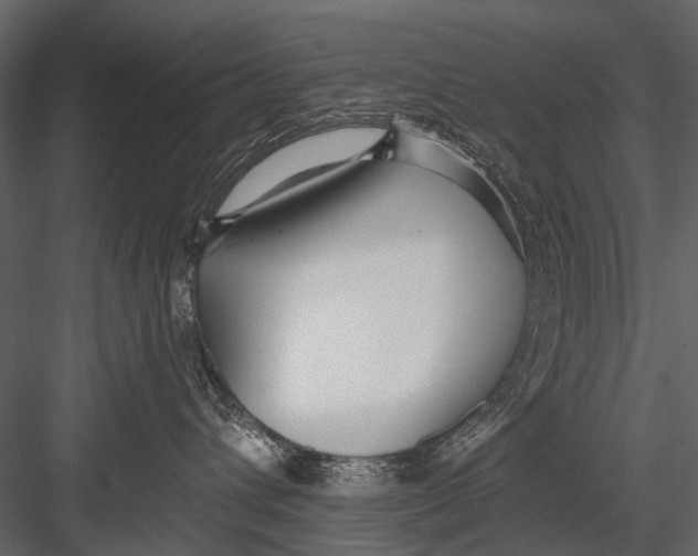 X0000082980432200702230038