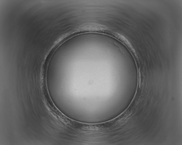 X0000082980435200702230037