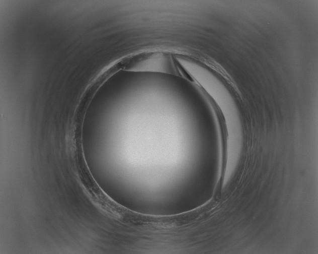 X0000082980436200702230037