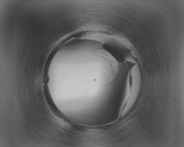 X0000082980438200702230038