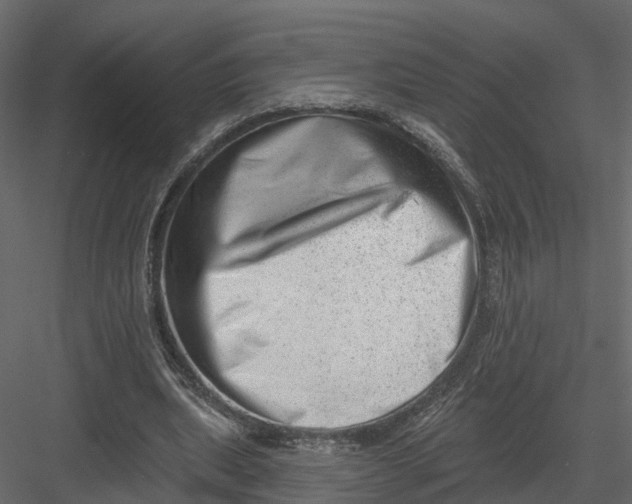X0000082980439200702230038