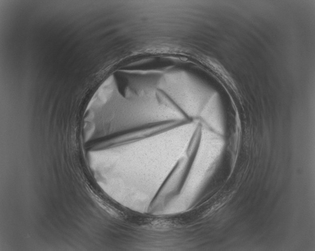 X0000082980441200702230038