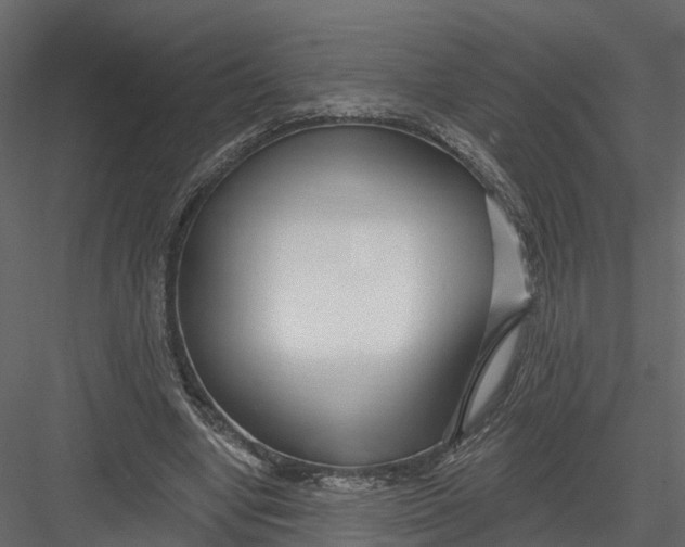 X0000082980442200702230038