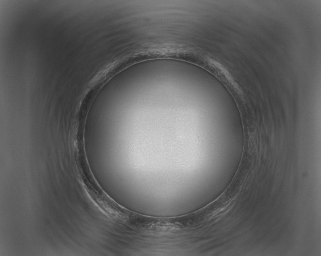 X0000082980443200702230038