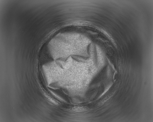 X0000082980445200702230038