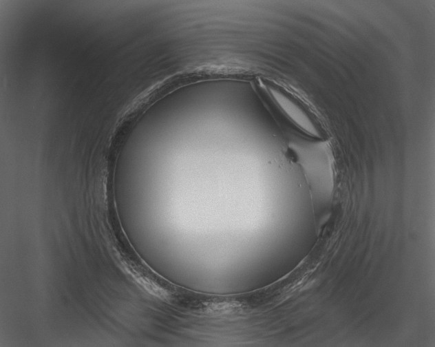 X0000082980446200702230038