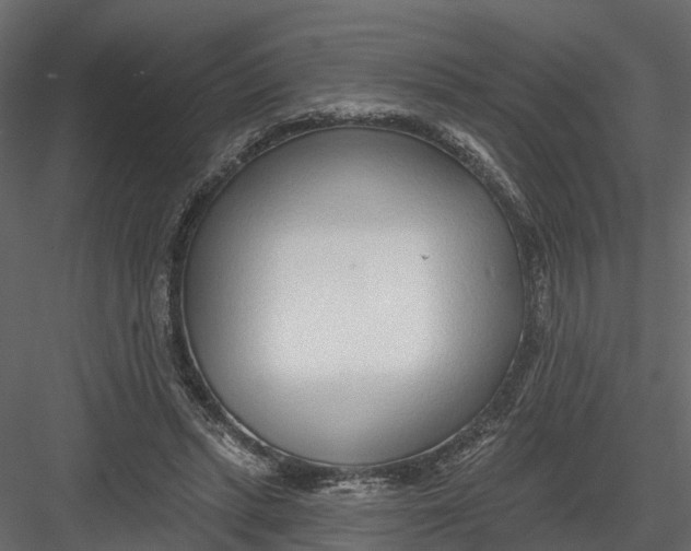 X0000082980447200702230038