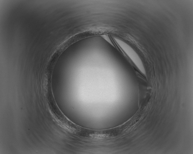 X0000082980448200702230038