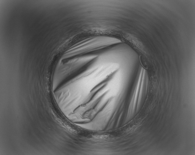X0000082980450200702230038