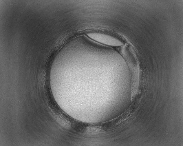 X0000082980451200702230038