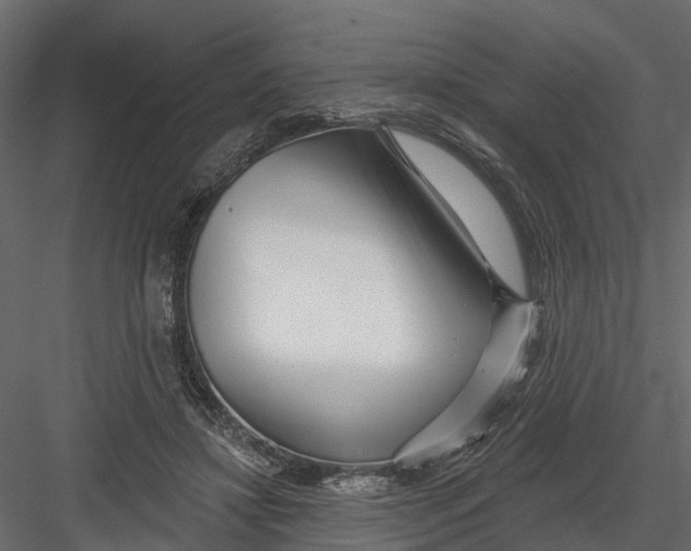 X0000082980452200702230038