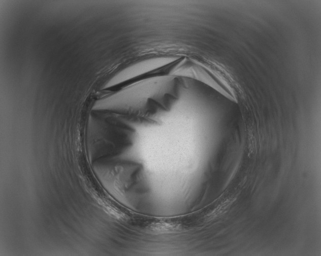 X0000082980453200702230038