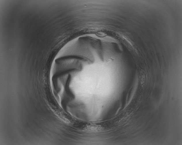 X0000082980455200702230038