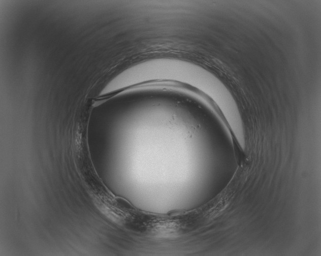 X0000082980456200702230038