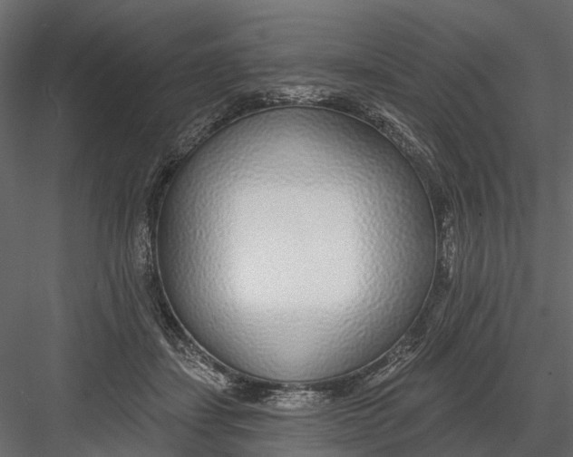 X0000082980459200702230038