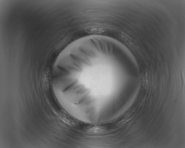 X0000082980460200702230038