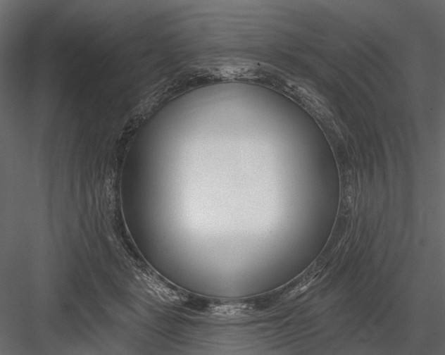 X0000082980461200702230038