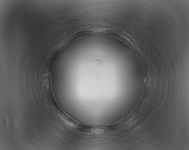 X0000082980462200702230038